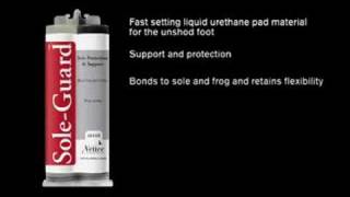 Vettec SoleGuard Product Introduction [upl. by Duggan]