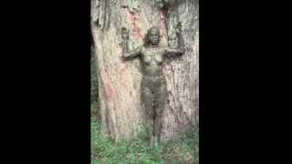 25 ANA MENDIETA quotARBOL DE LA VIDA TREE OF LIFEquot FROM quotSILUETAquot SERIES 1976 [upl. by Annaohj]