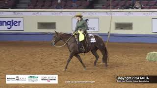 Amateur Ranch Trail  2024 AQHA World Championship Show [upl. by Masuh863]