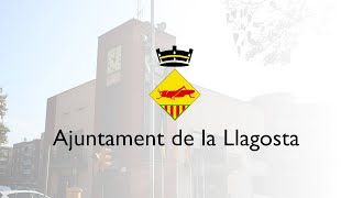 Sessió plenària Extraordinària dimecres 23 doctubre de 2024 [upl. by Huskey]