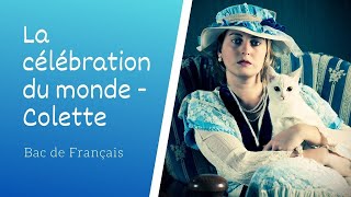 Analyse des oeuvres de Colette Sido et Les Vrilles de la Vigne  Parcours La célébration du monde [upl. by Jasper]