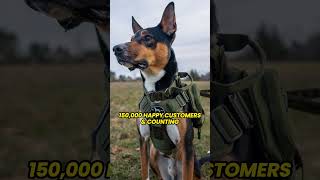 NEW Tactical NoPull Dog Harness [upl. by Ahsaelat]