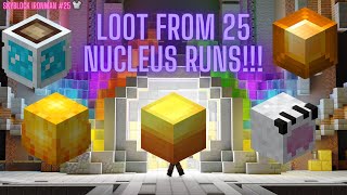 25 Nucleus Runs Are They WorthHypixel Skyblock Ironman ep 25 [upl. by Peggir]