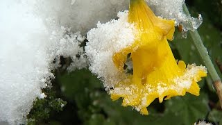 Ostschweiz Der Winter meldet sich zurück  Weisser Sonntagmorgen im Toggenburg [upl. by Haukom]