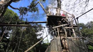 WALKWAYS OF THE WORLD  ACTS Canopy Walkway Peru [upl. by Ennahoj]