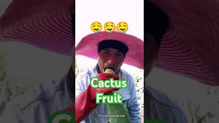 Eat Cactus Fruit 🤤 pricklypear [upl. by Enymsaj279]