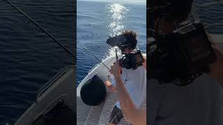 HO PESCATO UN ALLETTERATO DAL CATAMARANO pesca isoleeolie tonno [upl. by Egwin848]