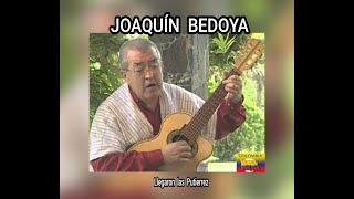 JOAQUÍN BEDOYA  LLEGARON LAS PUTIERREZ LETRA [upl. by Pillihpnhoj]