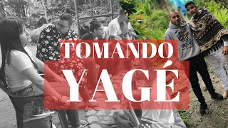 EL PODER DEL YAGÉ Un viaje espiritual  Tomando yagé en Palmira Valle del Cauca 😱 [upl. by Ettecul]