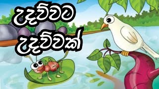 උදව්වට උදවවක්The dove and ant storyshort storySTORY 33 [upl. by Barta527]