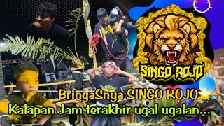 Kalapan Bantengan SINGO ROJO ⭐️ Ganasnya Tak Terbendung ‼️JAM Terakhir Banyak Korban Berjatuhan 🔥 [upl. by Prudi]