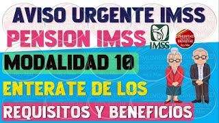 🔴💵ENTERATE🤑Pensión IMSS modalidad 10 todo lo que debes de saber de los requisitos Y beneficios [upl. by Attiuqaj]