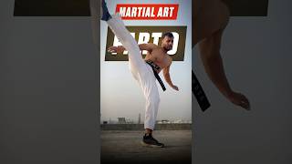 Part 9 Stamina Drills😰 stamina martialartstraining training youtubeshorts martialartsforlife [upl. by Mcdade]