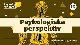 Psykologiska perspektiv förklarade  PSYKOLOGI  Gymnasienivå [upl. by Prisilla697]