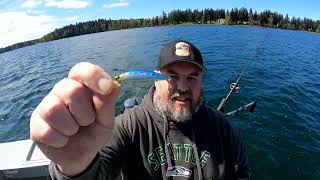 Top 3 Trolling Trout Lures To Consider This Season [upl. by Rodmur]