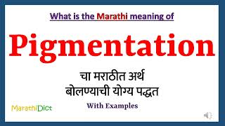 Pigmentation Meaning in Marathi  Pigmentation म्हणजे काय  Pigmentation in Marathi Dictionary [upl. by Merp]