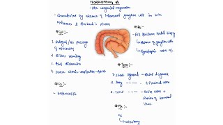 HIRSCHSPRUNGS DISEASE NOTES ONE PAGE NOTES  LARGE INTESTINE  SURGERY  4TH PROFF  MBBS [upl. by Edya159]