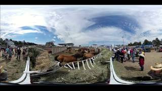 Cheyenne Frontier Days Rodeo 360 VR [upl. by Aleihs]