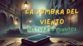 La Sombra del Viento Resumen en 5 [upl. by Lrak]