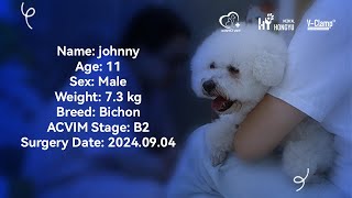 Case Review of MMVD StageB2 Patient Johnny [upl. by Urquhart866]