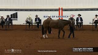 2023 Showmanship 13 amp Under  AQHYA World Championship Show [upl. by Broeder61]