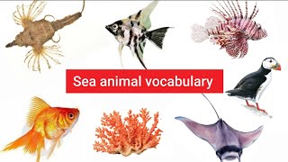 sea animals name facts on sea animals 150 vocabulary sea animals name viralvideo [upl. by Eneg]