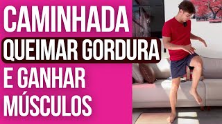 Caminhada para queimar gordura e ganhar músculos nas pernas em casa [upl. by Htial]