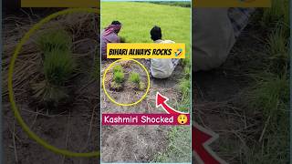 Bihari Rocks 😲 Kashmiri Shocked 😳 Viral Video  Arwani Bijbehara  Kalkharab  shorts  gashe taruk [upl. by Notnek401]