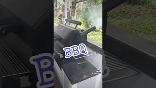 BBQ on the Yoder Smokers ys640 [upl. by Rednas]