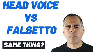 Falsetto vs Head Voice  Can you hear the difference [upl. by Etnauj343]