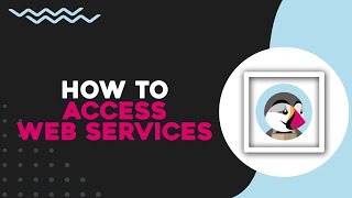 How To Access PrestaShop Web Services Quick Tutorial [upl. by Anirbas]