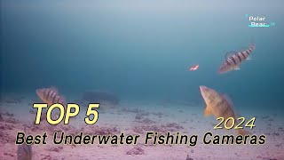 TOP 5 Best Underwater Fishing Cameras 2024 [upl. by Akierdna]