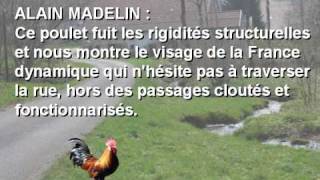 Pourquoi le poulet a traversé la route [upl. by Ariahay]