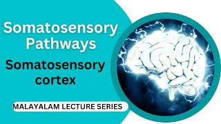 Somatosensory Pathways ampSomatosensory cortex [upl. by Rhiana]