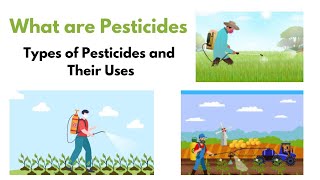 What are Pesticides  Different Types and Their Uses  Pesticides [upl. by Ileray]