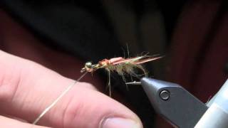 Fly Tying Lesson  Golden Stonefly Nymph Part 1 [upl. by Holman]