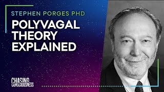 POLYVAGAL THEORY EXPLAINED Stephen Porges PHD 5 [upl. by Madlin]