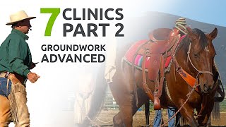 Advanced Groundwork Exercises  7 Clinics with Buck Brannaman  wehorse [upl. by Beckerman854]