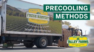 Talley Farms Precooling Methods [upl. by Accissej813]