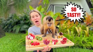 MY MONKEYS TASTE TEST UNUSUAL FOODS WHAT WILL THEY EAT [upl. by Droffig41]