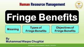 Fringe Benefits in HRM  Meaning  Types  Objectives [upl. by Ineslta380]