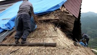 Thatch Roof Construction [upl. by Haneekas872]