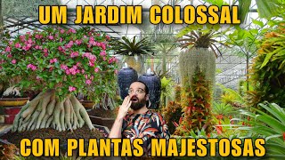 Visitei Jardins que não Parecem Reais  Eu nunca vou esquecer das plantas que eu vi  TAILÂNDIA [upl. by Anyaj209]