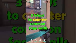 Ways To Counter Common Sage Walls [upl. by Yurt]