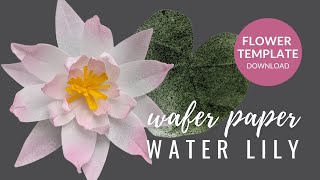 How to make Water Lilly for cake decorating  FREE TEMPLATE  Wafer Paper Tutorial [upl. by Aggappe]