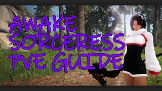 BDO  Awake Sorceress PVE Guide [upl. by Sandor518]