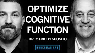 Dr Mark DEsposito How to Optimize Cognitive Function amp Brain Health [upl. by Flita985]