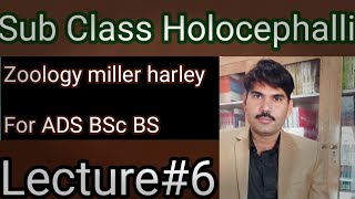 Lec6Sub class Holocephallizoology miller HarleyADSBScBSUrdu Hindi [upl. by Nnyw]