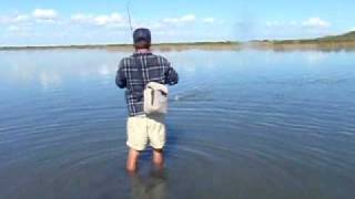 Port Aransas Fly Fishing [upl. by Sallie]