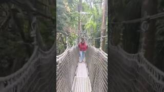 Longest canopy walk in Africa trending viralvideo youtubeshorts africa tamil [upl. by Hsizan]